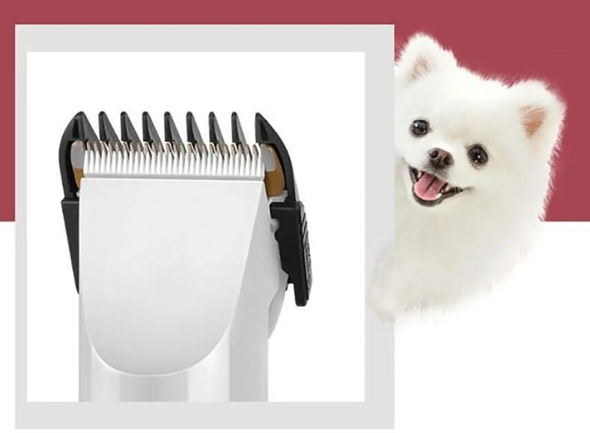 Какие хорошие машинки для стрижки собак. Машинка для стрижки животных Grooming hair Clipper. Машинка для стрижки животных cr1222. Машинка для стрижки собак Pet Grooming hair. TV-710 машинка для стрижки собак Pet Grooming hair Clipper.