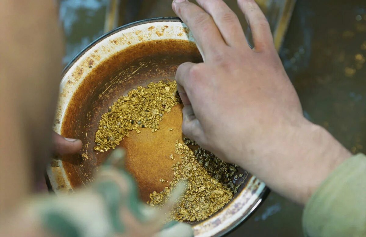 Пульпа золотодобыча. Золотые прииски забайкальский край. Современная добыча золота. Промышленная добыча золота. Старательская артель золотые прииски.