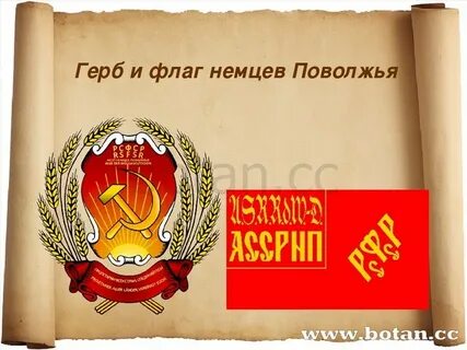 4 съезд советов асср немцев поволжья