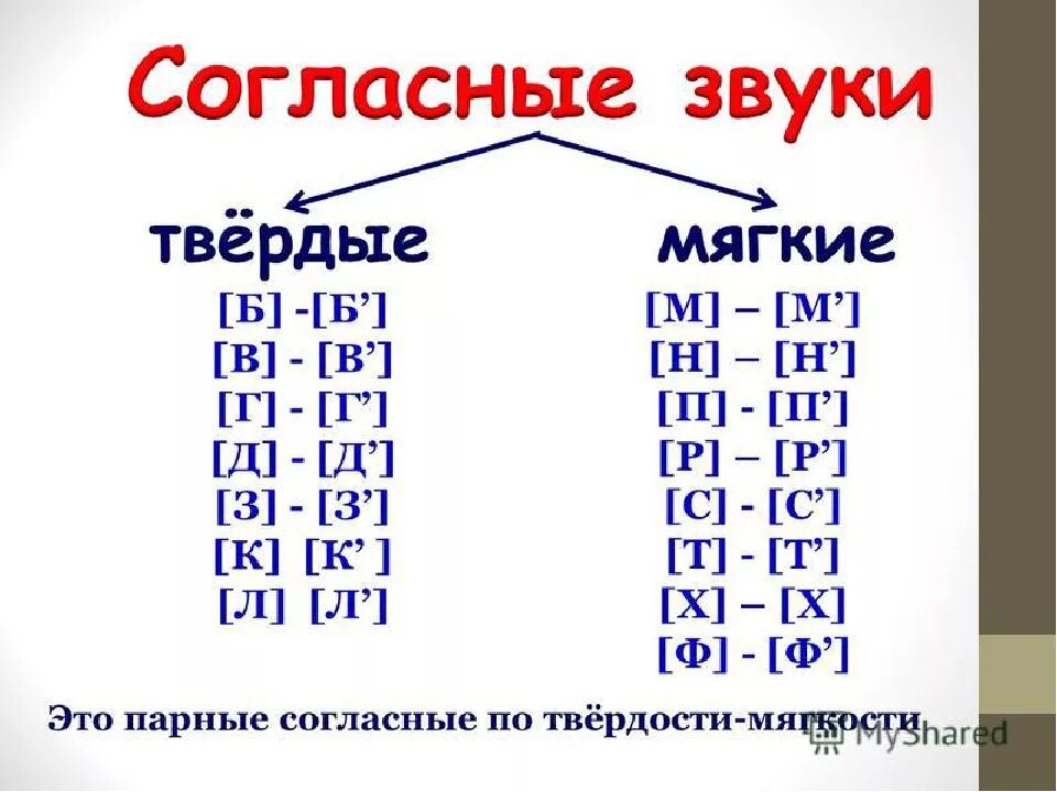 Какие согласные звуки в слове жизнь. Мягкие и твердые согласные звуки в русском языке таблица. мягкие согласные и твердые согласные буквы. буква которая всегда обозначает твердый согласный звук. мягкие твёрдые звуки в русском языке таблица.