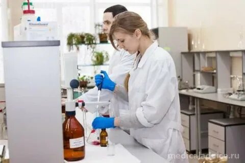 Рынок лаборатория