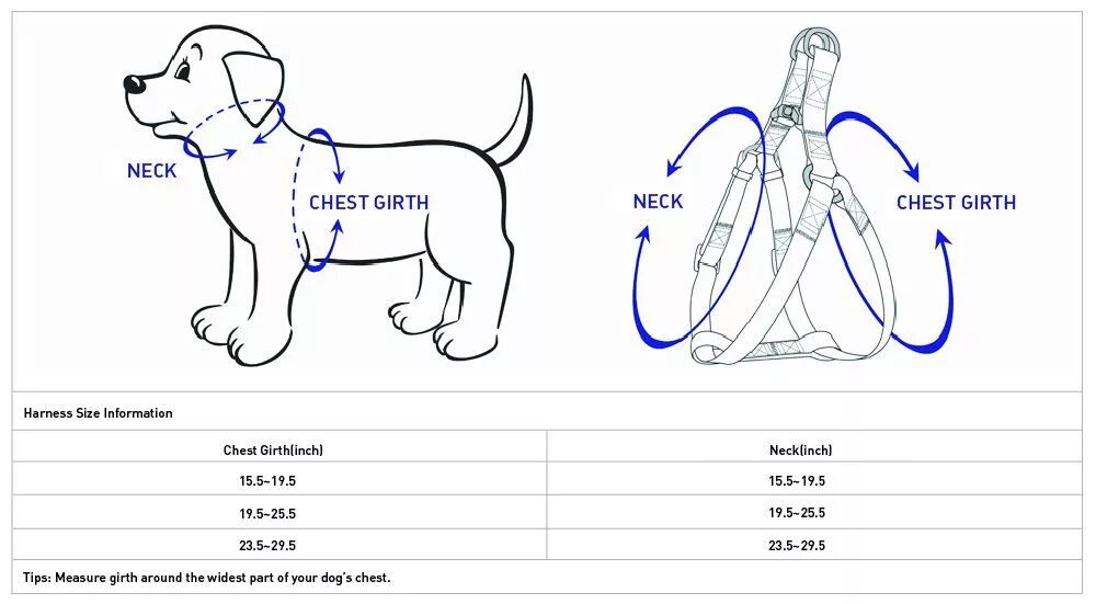 Как подобрать шлейку для собаки. Ferplast шлейка для собак Размерная сетка. Размерная таблица шлеек для собак. Размер шлейки для собак таблица размеров хаски. Как измерить размер шлейки для собаки.