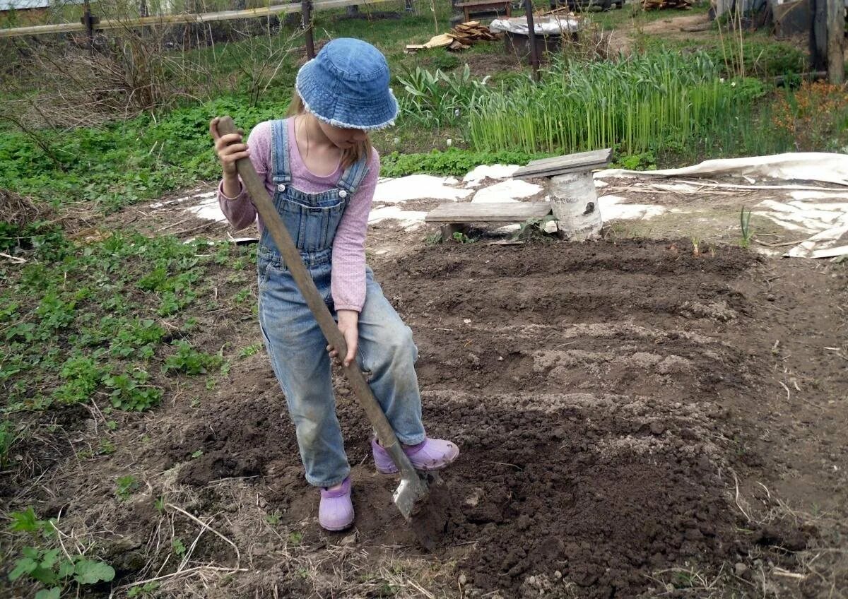 Дети посадили огород. Копать огород. Огород весной. Весенние посадки в огороде.