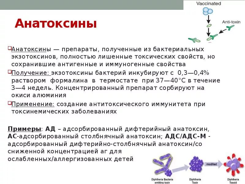 Вакцины получают из. Нативные анатоксины. Анатоксин, его свойства, получение, применение. Анатоксин содержит микробиология. Столбнячный анатоксин схема действия.