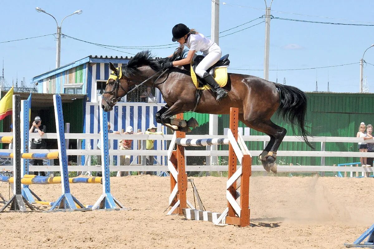 Конный спорт вопросы. Конно-спортивная школа Новочебоксарск. Конноспортивная школа Новочебоксарск. Конно спортивная школа Чебоксары 2023. Конная школа Новочебоксарск.