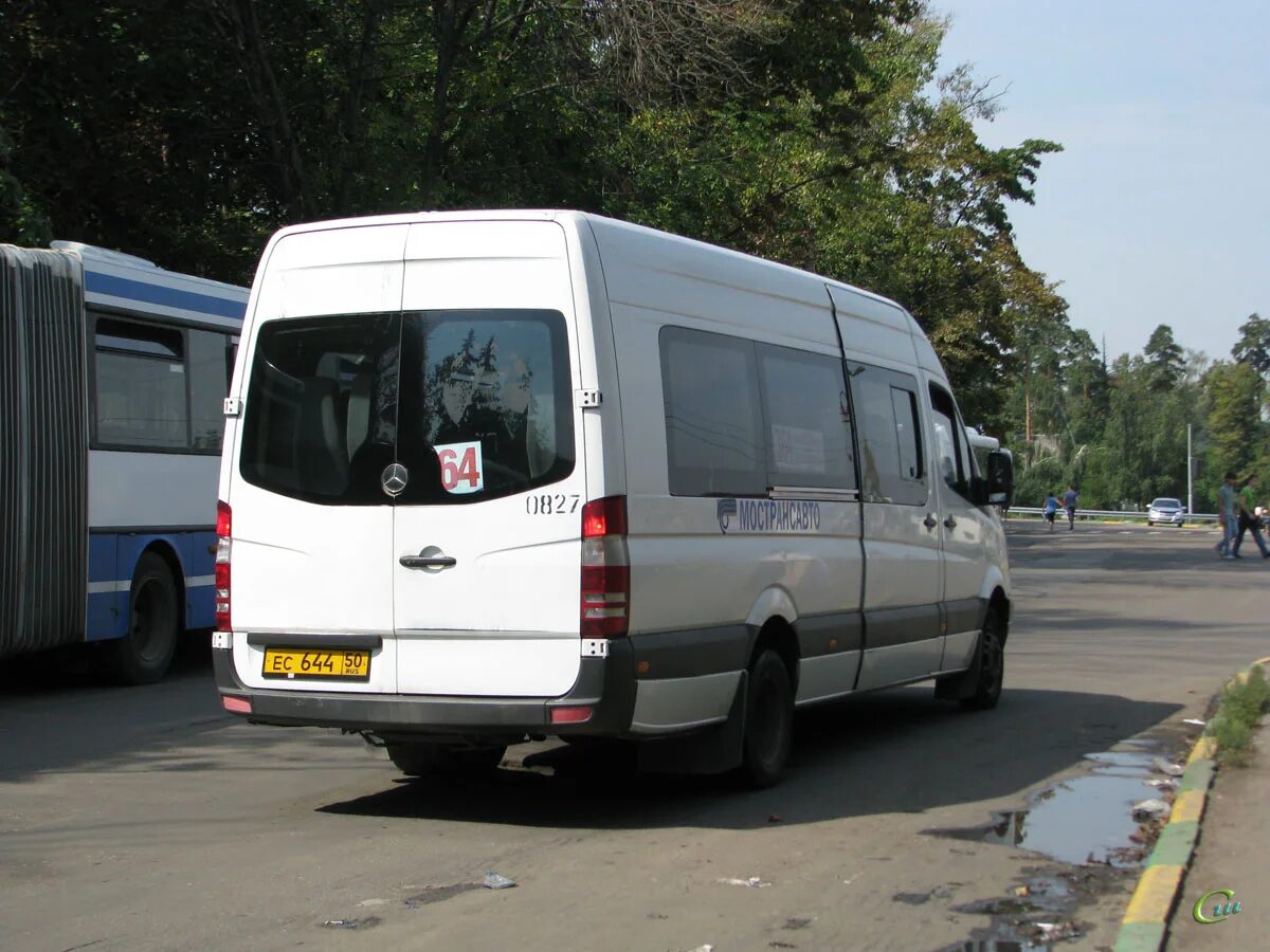 Лиаз 5250. Ногинск автобус 11. Ногинск автобус 11. Лиаз 5250. У614ре 750.