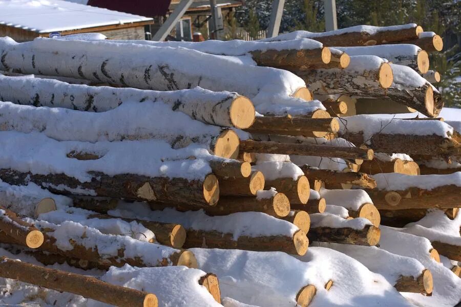 Дрова в лесу зимой. В лес за дровами. На зиму заготовили 2 4 м березовых. Зимний лес бревно. 6 м еловых дров.