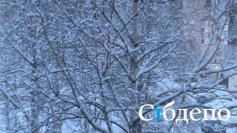 Апрель новокузнецк