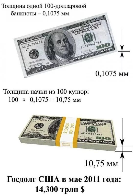Сколько купюр в долларах. Доллар размер купюры. Размер банкноты 100 долларов. Размер 100 долларовой купюры. Размеры 100 долларовой купюры в сантиметрах.