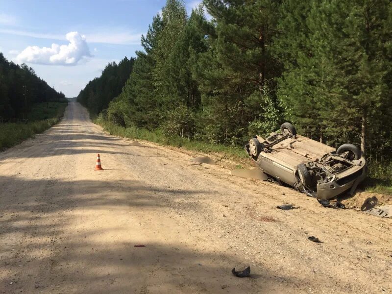 Урочище алейка томская область. Погода половинка томская. Погода половинка томская. Урочище алейка томская область. Деревня половинка томск.