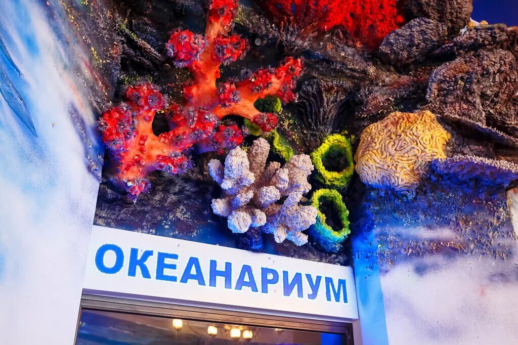 Океан парк Краснодар Галактика. Океанариум Ocean Park Краснодар. Океанариум океан парк Краснодар. Океанариум Краснодар Галактика. Океанариум уральская ул 98 11 краснодар