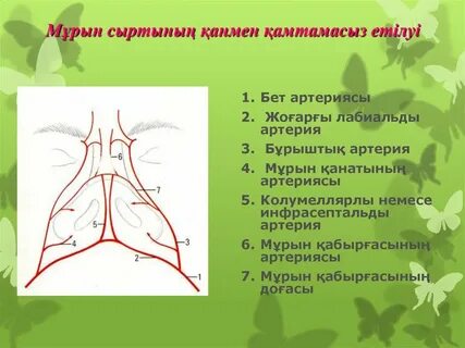 Ресейдің жалаңаш жұлдыздары