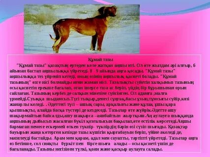 Хитоми Танакамен жыныстық қатынас