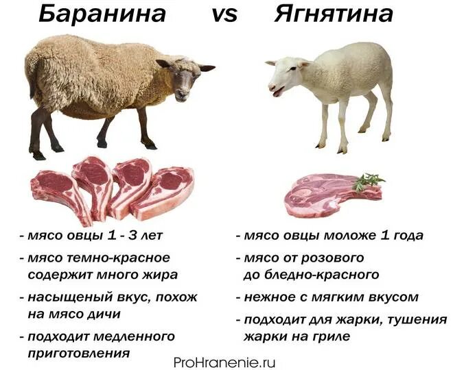 Какую часть баранины берут. Части баранины.