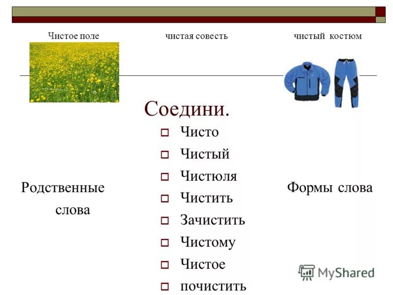 Синоним чистый 3 класс. Родственные слова к слову чистый. Слова с корнем чист. Поле родственные слова. Формы слова поле.