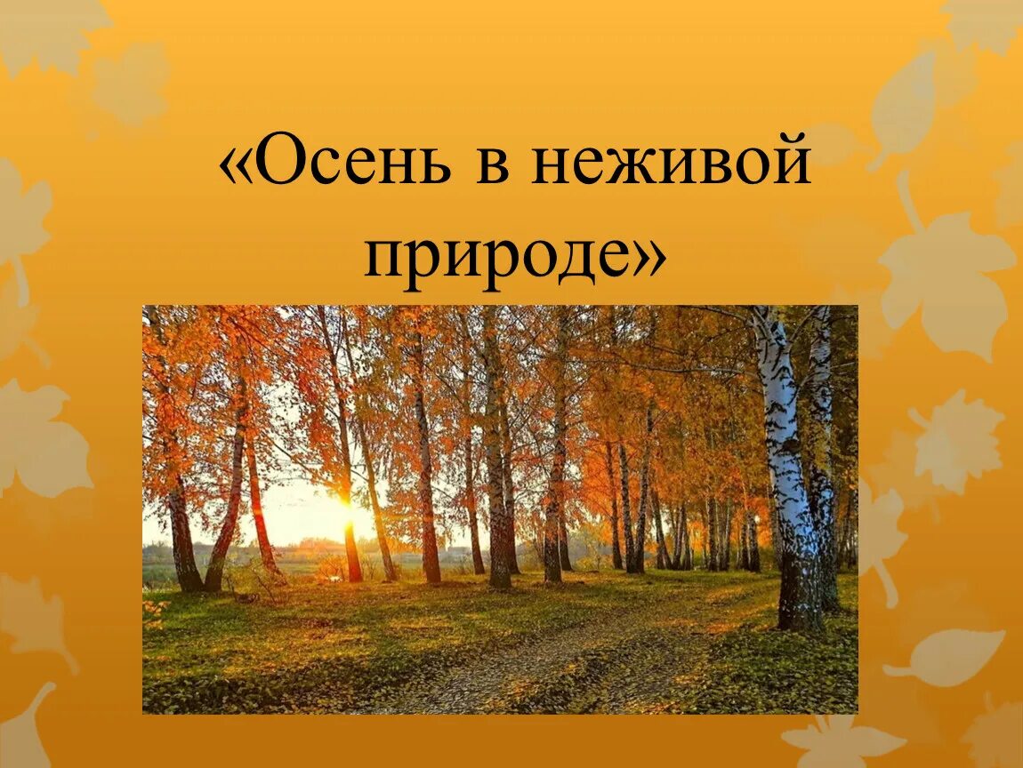 Осень в неживой природе. Осень в неживой природе 2 класс. Сезонные изменения в неживой природе осенью. Неживая природа осенью 2 класс презентация. Осеннего неживой природы