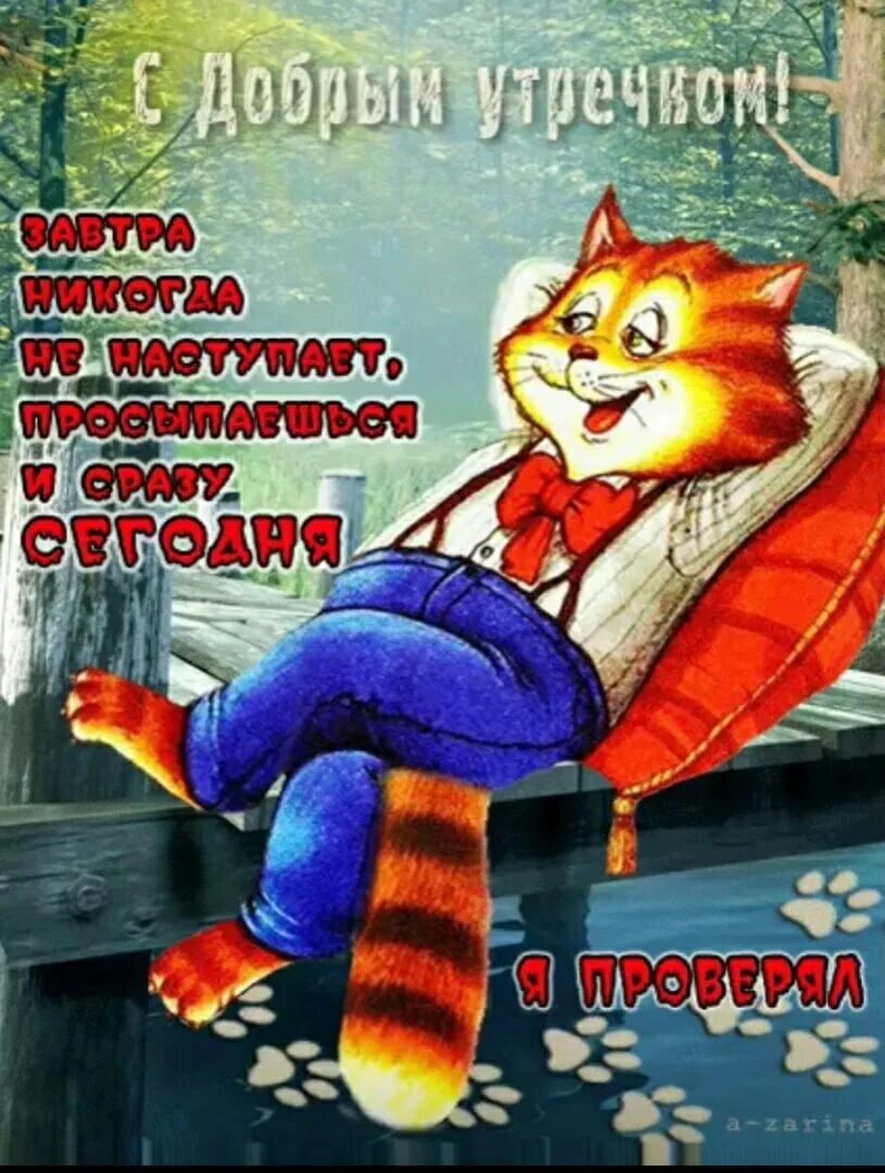 Веселое доброе утро с пожеланием хорошего. Смешные пожелания с добрым утром. веселые картинки с добрым утром. открытки с добрым утром смешные. веселые открытки.