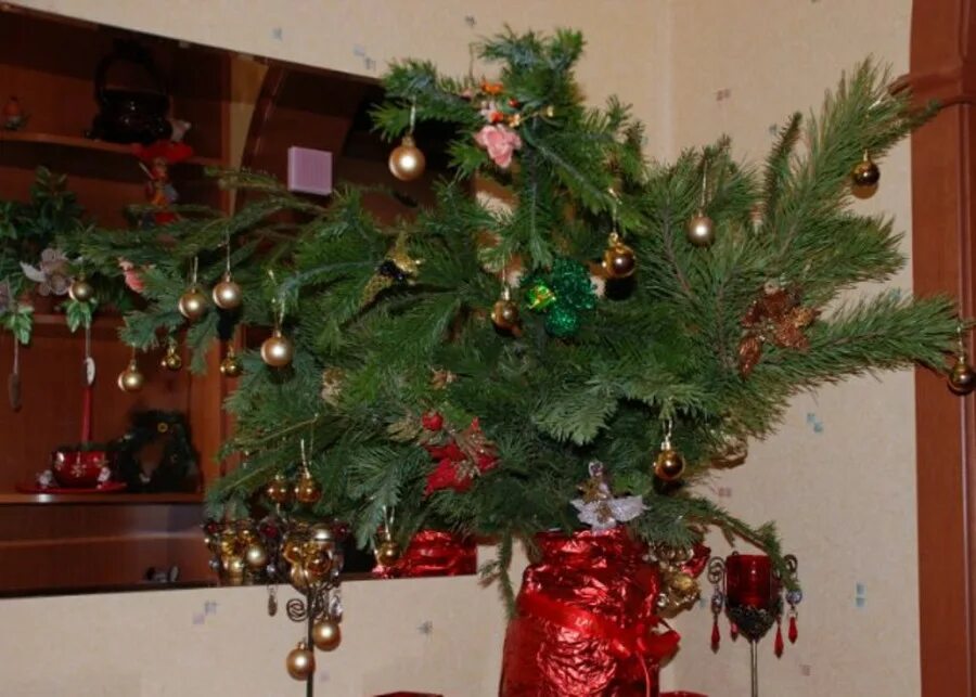 елка из еловых веток. елочные ветки в вазе. новогодние композиции в вазах. ветки сосны в вазе. можно ли дома ставить еловые ветки.