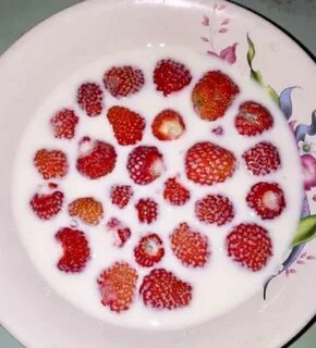 Калорийность клубники без сахара свежей на 100