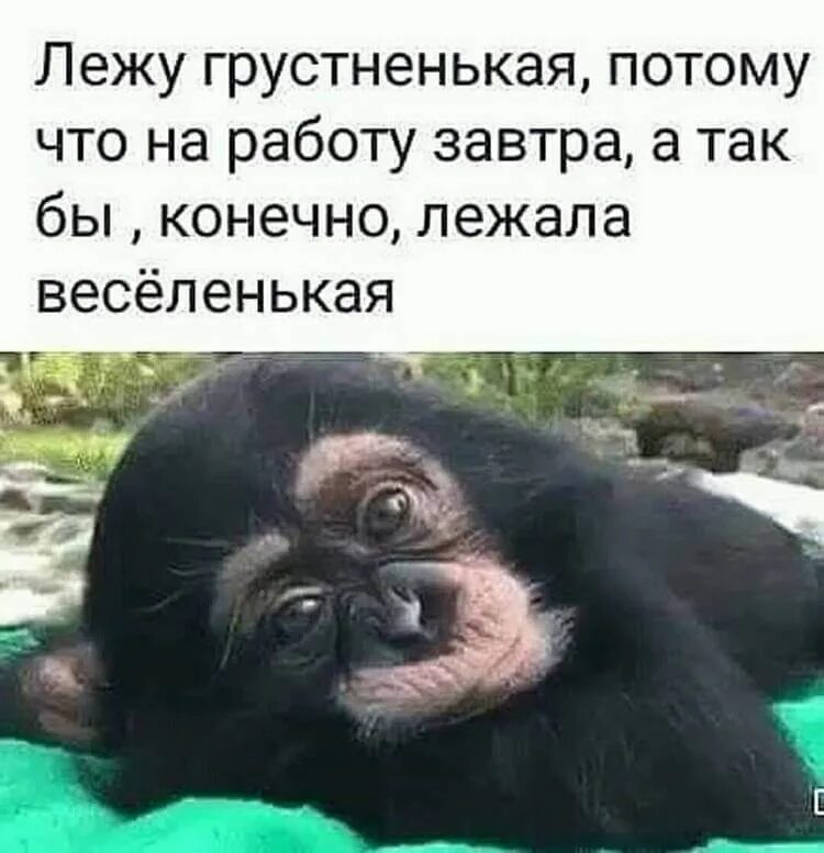 Надо делать то что хочется. Потому что уж. Не злите меня и так уже. Мужчины без женщин. Котик я спать.