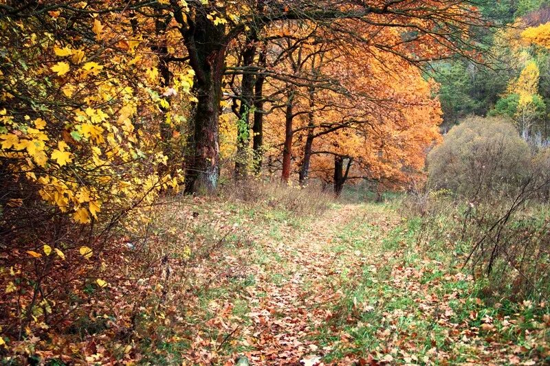 Ноябрь на дворе пушкин. Стоял ноябрь у двора. Стоял ноябрь у двора. Стоял ноябрь уж у двора живопись. Ноябрь уж на дворе.