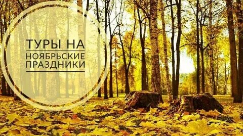 Ноябрьские каникулы