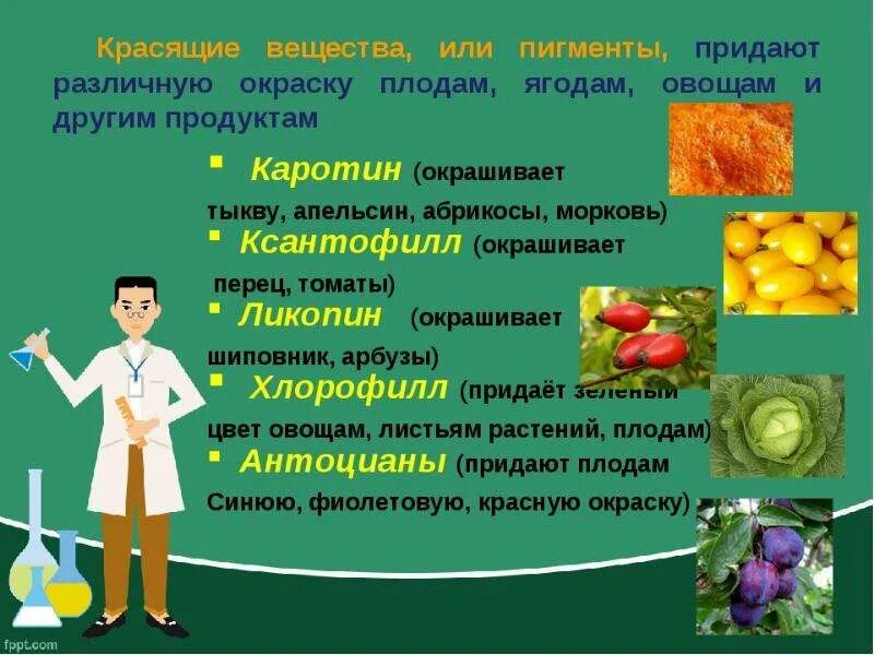 Какие вещества содержатся в овощах. Красящие вещества в овощах. пигменты плодов и овощей. химический состав плодов. химический состав овощей.