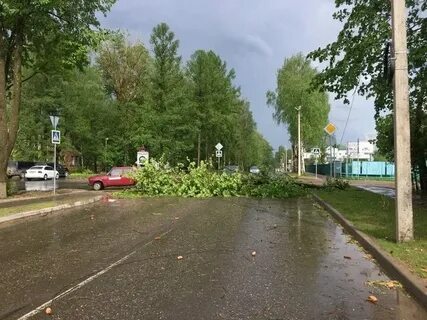 Погода в г бежецк тверской обл