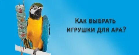 Башня слов разновидности попугаев
