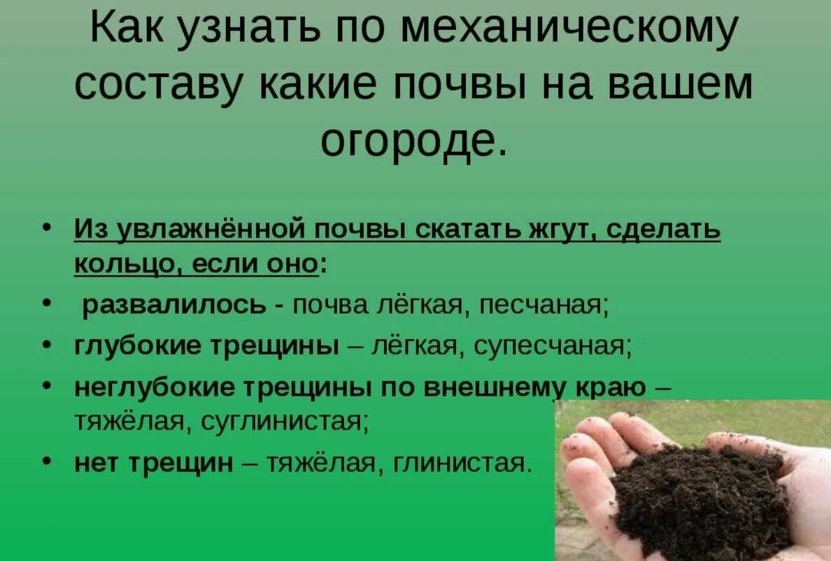 Как понять какая почва