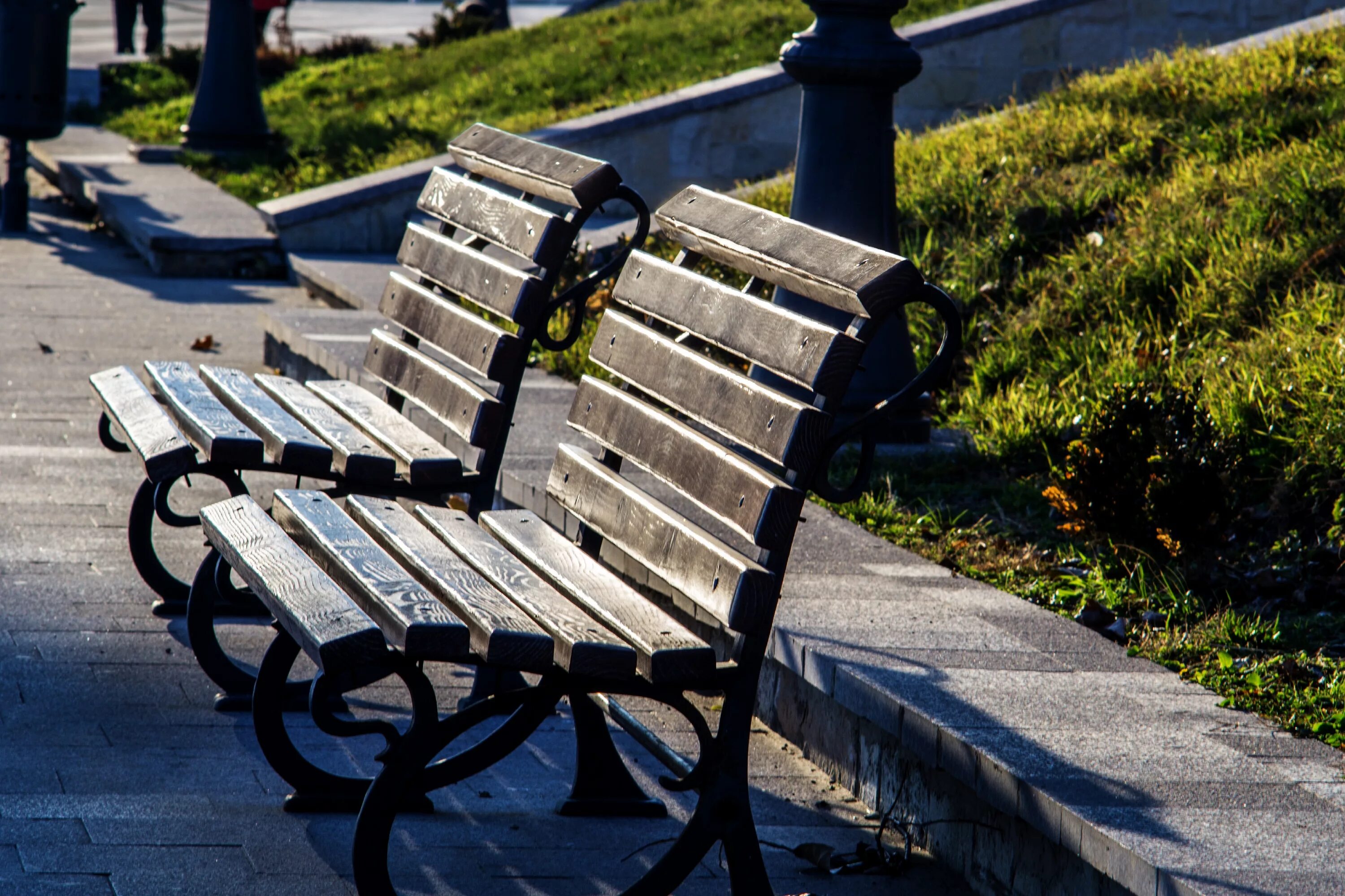 Скамейка в тени. Скамейка под деревом. Скамья в лесу. Скамейка на природе. Букет цветов на скамейке.