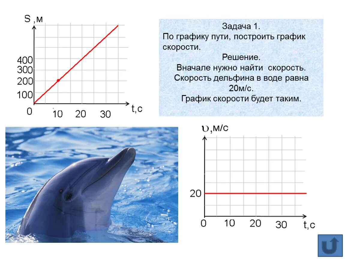 Скорость дельфина. Скорость дельфинов в воде. Скорость дельфина в узлах. Какая скорость у дельфина. Скорость дельфина в воде