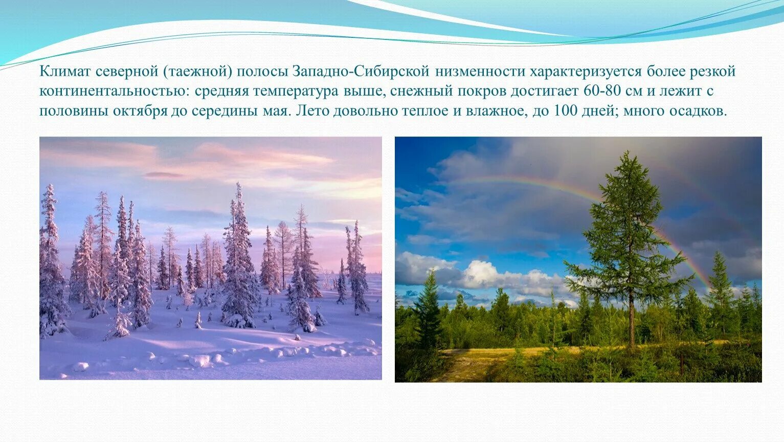 Климат восточной и западной сибири. За́падно-Сиби́рская равни́на. Ямало-Ненецкий автономный климат. Западно-Сибирская низменность климат. Климат севера-Сибири.