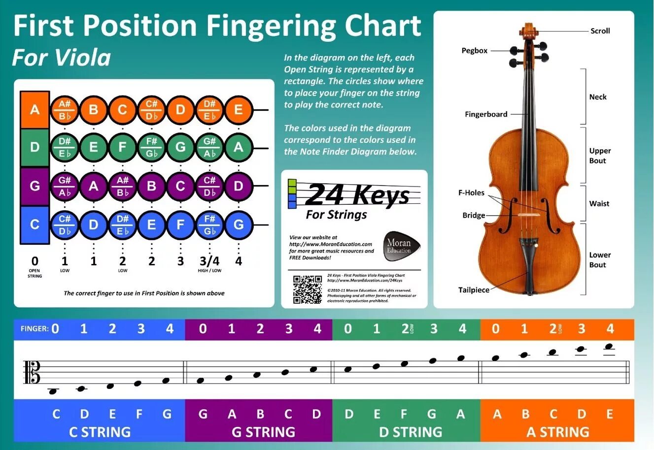 Расположение нот на грифе скрипки 4/4. Расположение нот на скрипке схема. Аппликатура для струн скрипки. Расположение нот на грифе скрипки. Viola перевод песни