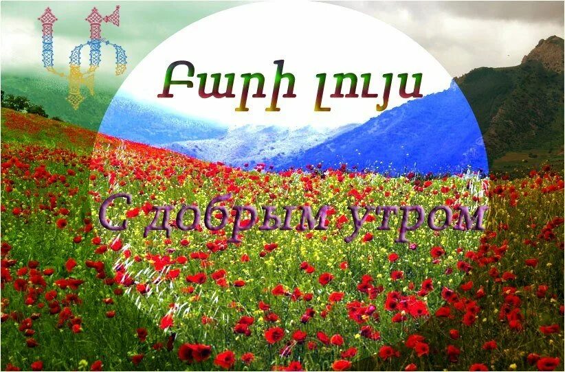 Хорошего дня на армянском. Доброе утро на армянском языке. открытки с добрым утром на армянском языке. добрый день на армянском языке. армянские открытки с добрым утром.