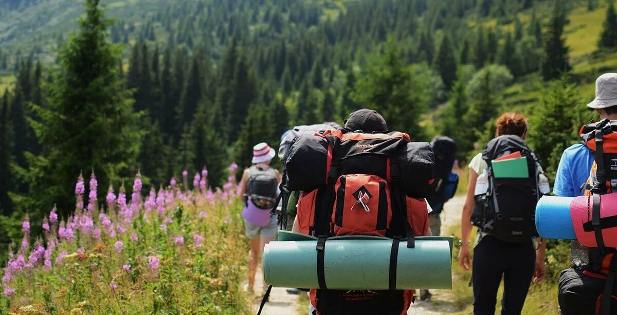 Tourism ecotourism. Экологический туризм. Экотуризм в России. Экотуризм туризм. Познавательный экотуризм.