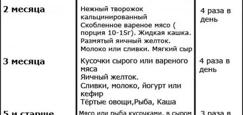 Сколько раз кормить месячного котенка в день