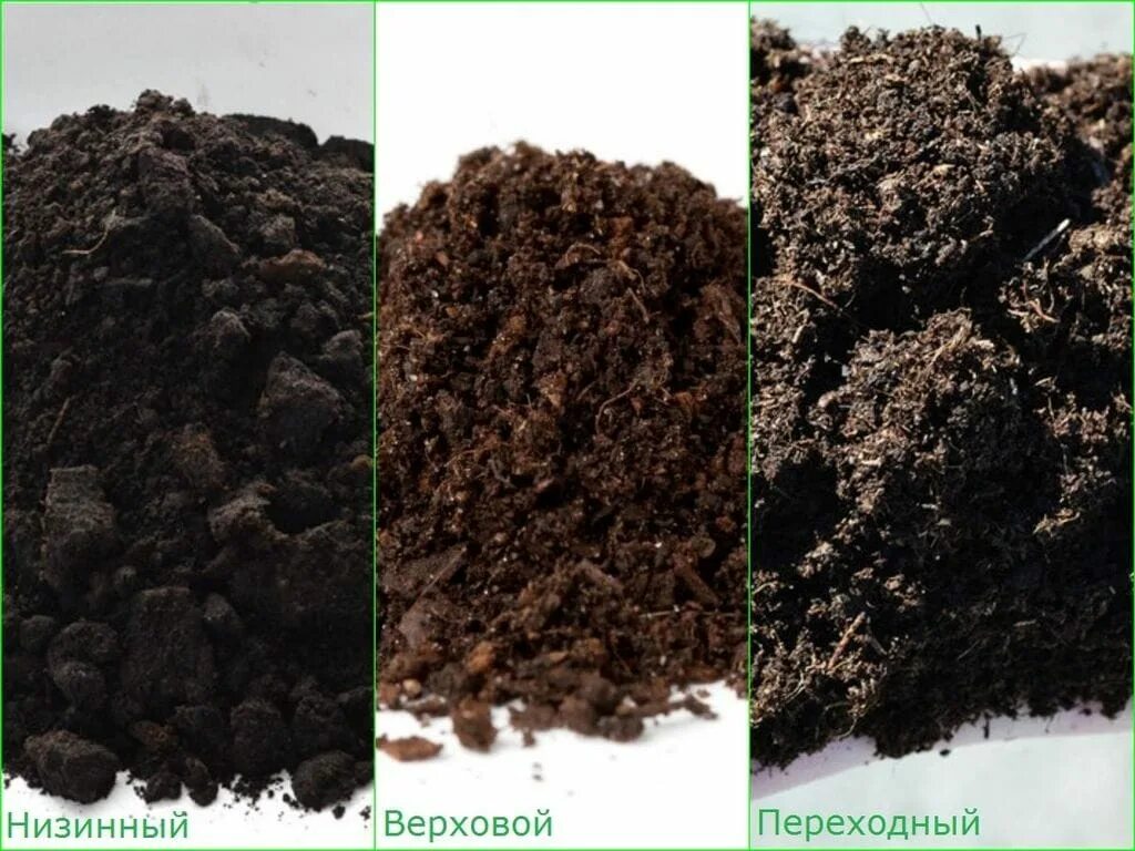 Чем отличается чернозем от плодородной земли