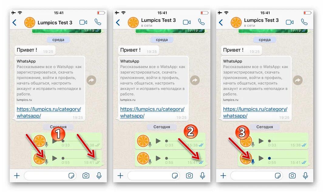 Как прочитать голосовое в ватсапе. Голосовое сообщение в ва. Голосовое сообщение WHATSAPP. Голосовое в ватсапе. Переписок в ватсапе с голосовыми сообщениями.