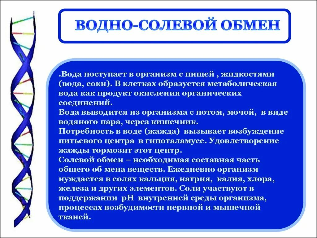 Водно-солевой обмен в организме человека. Водно-солевой обмен в организме человека регулируется. Водно солевой обмен анатомия. Связанная вода в организме