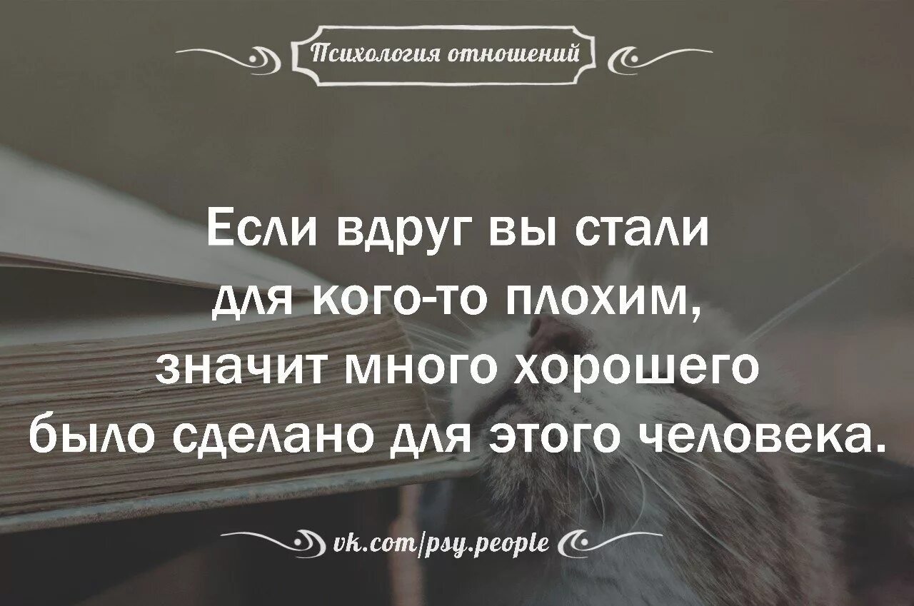 Слова человеческого отношения. Высказывания про отношения. Афоризмы про отношения. Цитаты про отношения. Цитаты про отношения людей.