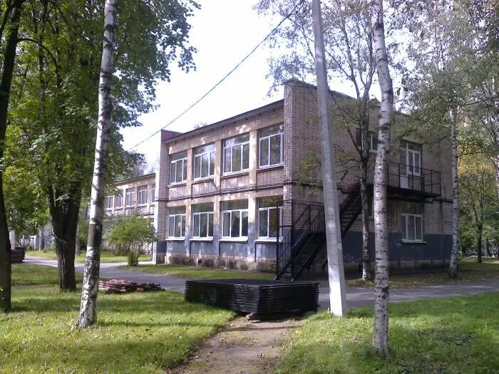 63 сад фрунзенского. Детский сад № 67. 63 сад фрунзенского. 1972 детский сад. Детский сад поварово 52.