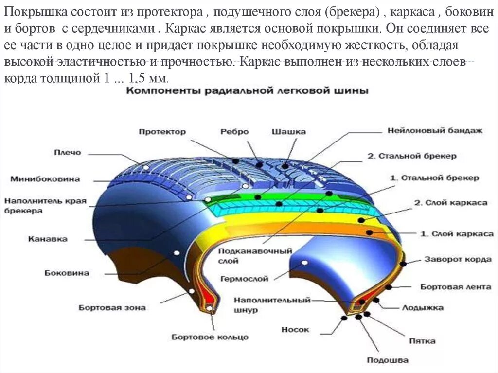 Элементы покрышки. Шина в разрезе. Покрышка в разрезе. Каркас и брекер шины. Строение шины