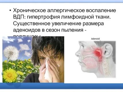 Берут ли с аллергией