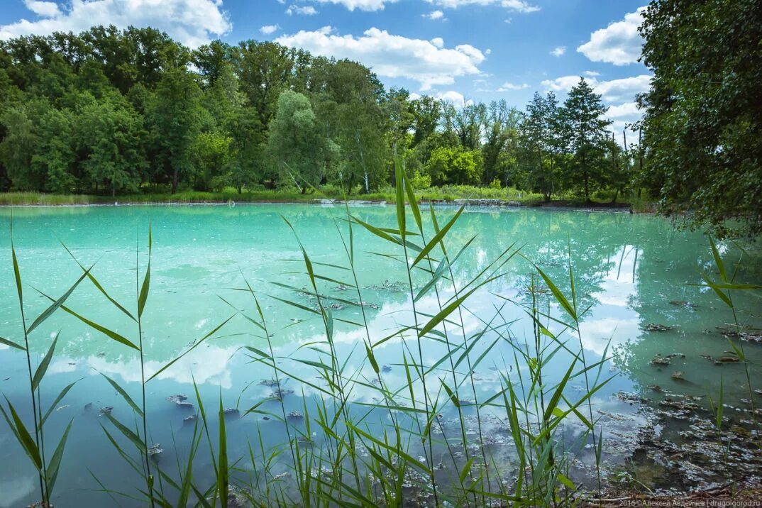 Новости сергиевского водохранилища. Сергиевские Минеральные воды серное озеро. Серное озеро Сергиевский район. Сергиевск серное озеро. Серное озеро Самарская область Сергиевский район.