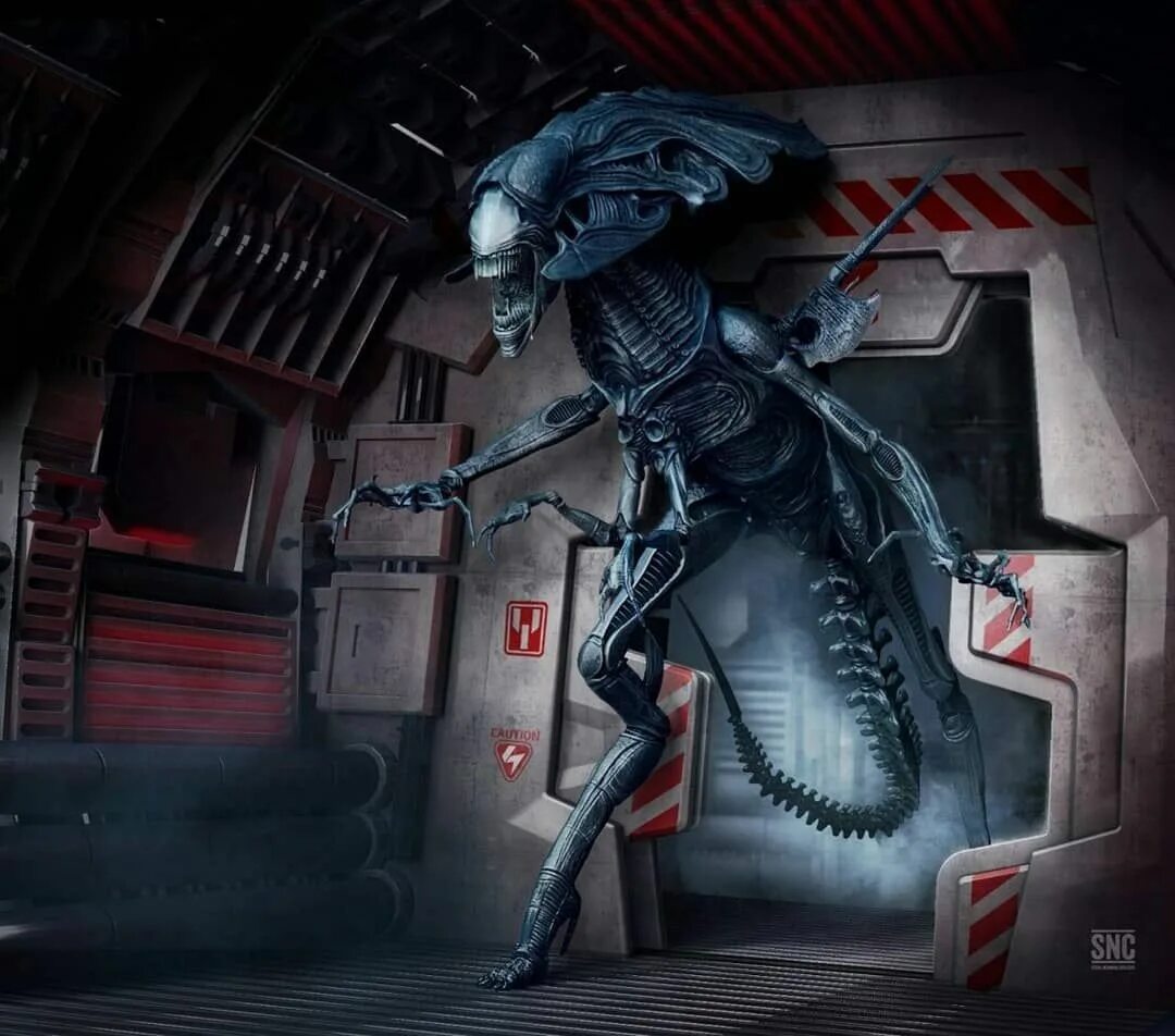 Рассказы про чужого. Алиенс Квин. Aliens vs Predator 2 чужой Xenomorph арт. Королева чужих,Ксеноморф.. Ксеноморф Queen.