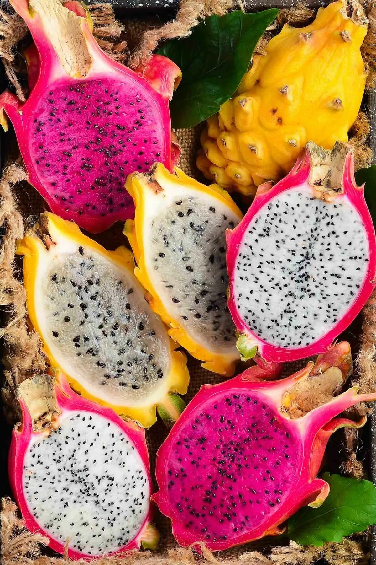 Pitaya- Fruta Pitaya, Frutas exóticas, Dicas de saúde