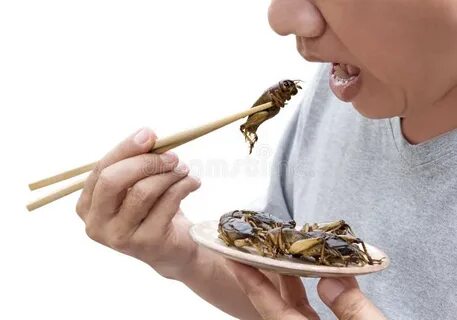 Насекомые которые едят людей