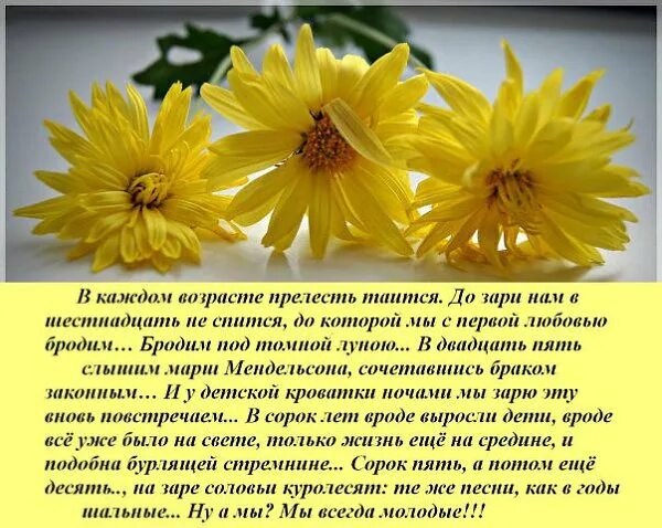 Прелесть песня текст