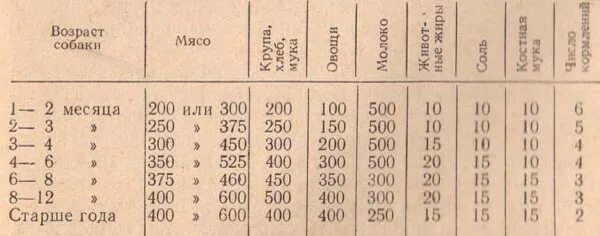 Сколько корма давать овчарке. Вес щенка русской гончей в 3 месяца. Вес щенка русской гончей по месяцам. Кормление щенка гончей 2 месяца. Кормление щенка гончей 6 месяцев.